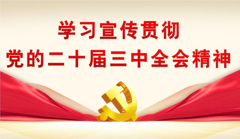 【專題】學習宣傳貫徹黨的二十大三中全會精神